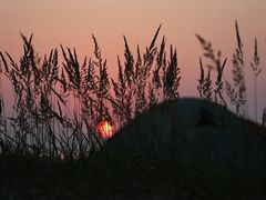 -翡翠岛
