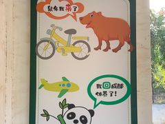 -合肥野生动物园