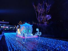 -飞凤山奥体公园