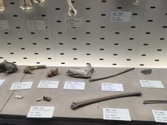 -浙江自然博物院(杭州馆)