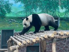 -黔灵山公园
