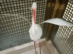 -红菜坊·烤鸭·川鲁宴(石园店)