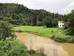 -南宁良凤江国家森林公园