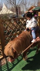 -萌宠亲子动物乐园(槐房万达店)