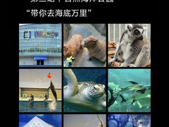 -日照海滨国家森林公园