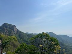 -大岭沟猕猴桃谷风景区