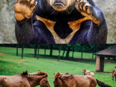 -杭州野生动物世界