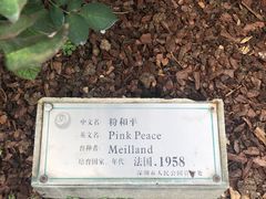 -人民公园(罗湖区)