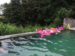 -崇阳三特浪口温泉