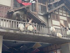 门面-哥老官重庆美蛙鱼头(西湖银泰十一哥店)
