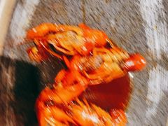 -星伦多 自助料理(圆融店)