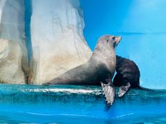 -泉城欧乐堡海洋极地世界