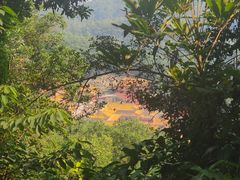 -东莞市大岭山森林公园