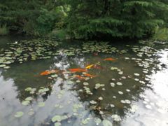 -白马涧龙池景区