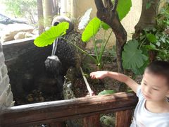 -园林美食城·本土农家菜(杨和镇店)