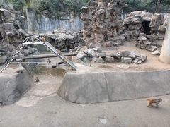 -杭州动物园