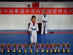 -陈中跆拳道(中关村馆)