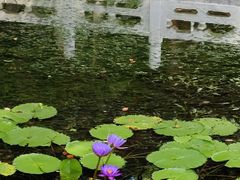 -武汉动物园