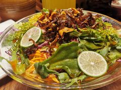 凉拌时蔬-老滇山寨•云南特色菜•地方菜•民族风情歌舞表演(金碧店)