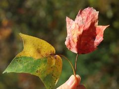 -楠溪江风景名胜区
