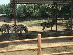 -西安秦岭野生动物园