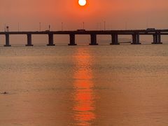 -宝安西湾红树林湿地公园