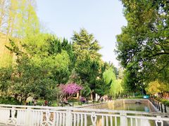 -同济大学(沪西校区)