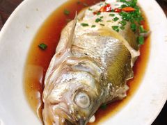 清蒸白条-水根饭店