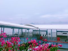-国际邮轮中心码头(厦鼓码头)