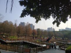 -五缘湾湿地公园