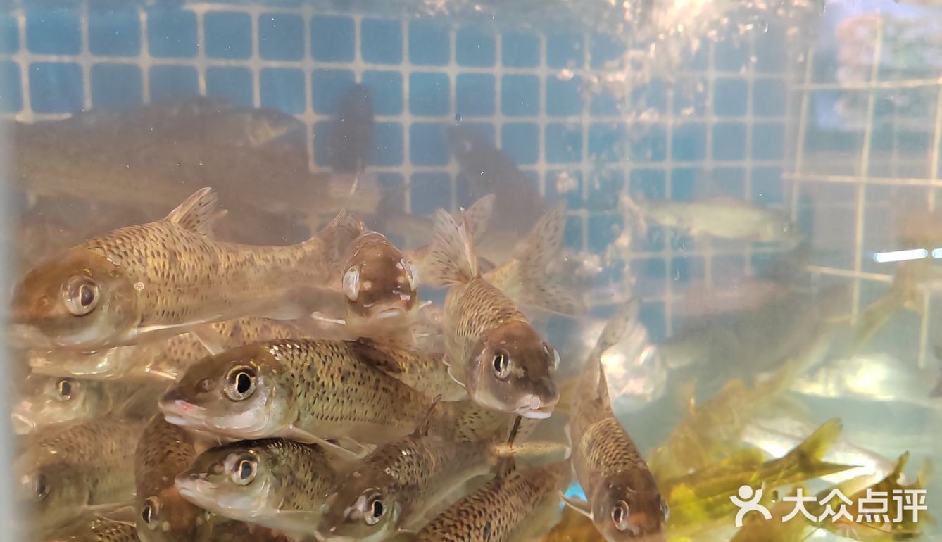 融合浙赣两省的衢州菜，江浙菜独树一帜的衢州菜