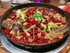 -老板恋上鱼(恒隆广场店)