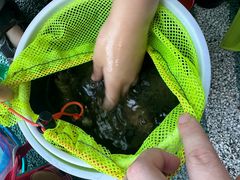 -重庆彩云湖湿地公园