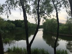 -新江湾城公园