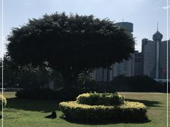-万绿园