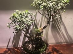 -成都皈徕栖精品酒店(四川大学九眼桥店)