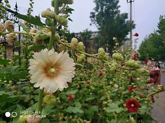 -南宫温泉水世界