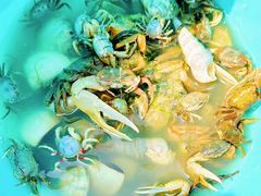 -北海金海湾红树林生态旅游区
