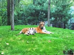 -北京野生动物园