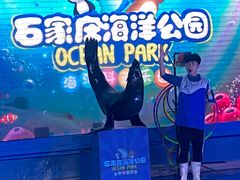 -石家庄海洋公园