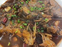 -张桥杨记羊肉饭店