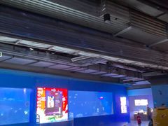-重庆欢乐海底世界