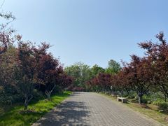 -上海海湾国家森林公园