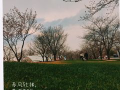 -上海辰山植物园