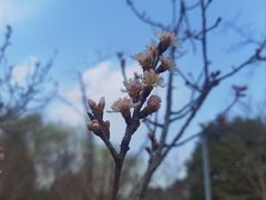 -昆山城市生态森林公园