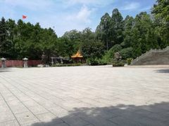 -三水森林公园