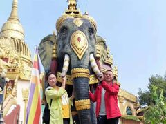 -瑞丽独树成林风景区