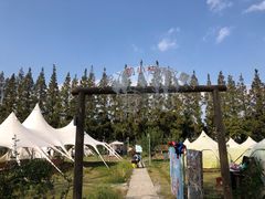 -上海长兴岛郊野公园