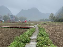 -靖西鹅泉风景区