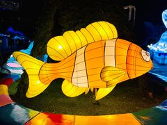 -海合安成都极地海洋公园